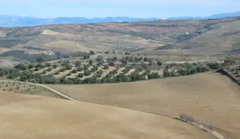 Alhama de Granada