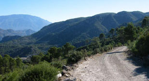 Los Guajares