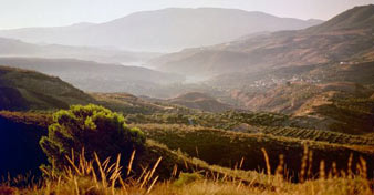 Lujar