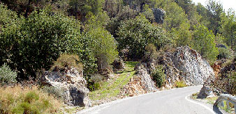 Lenteji